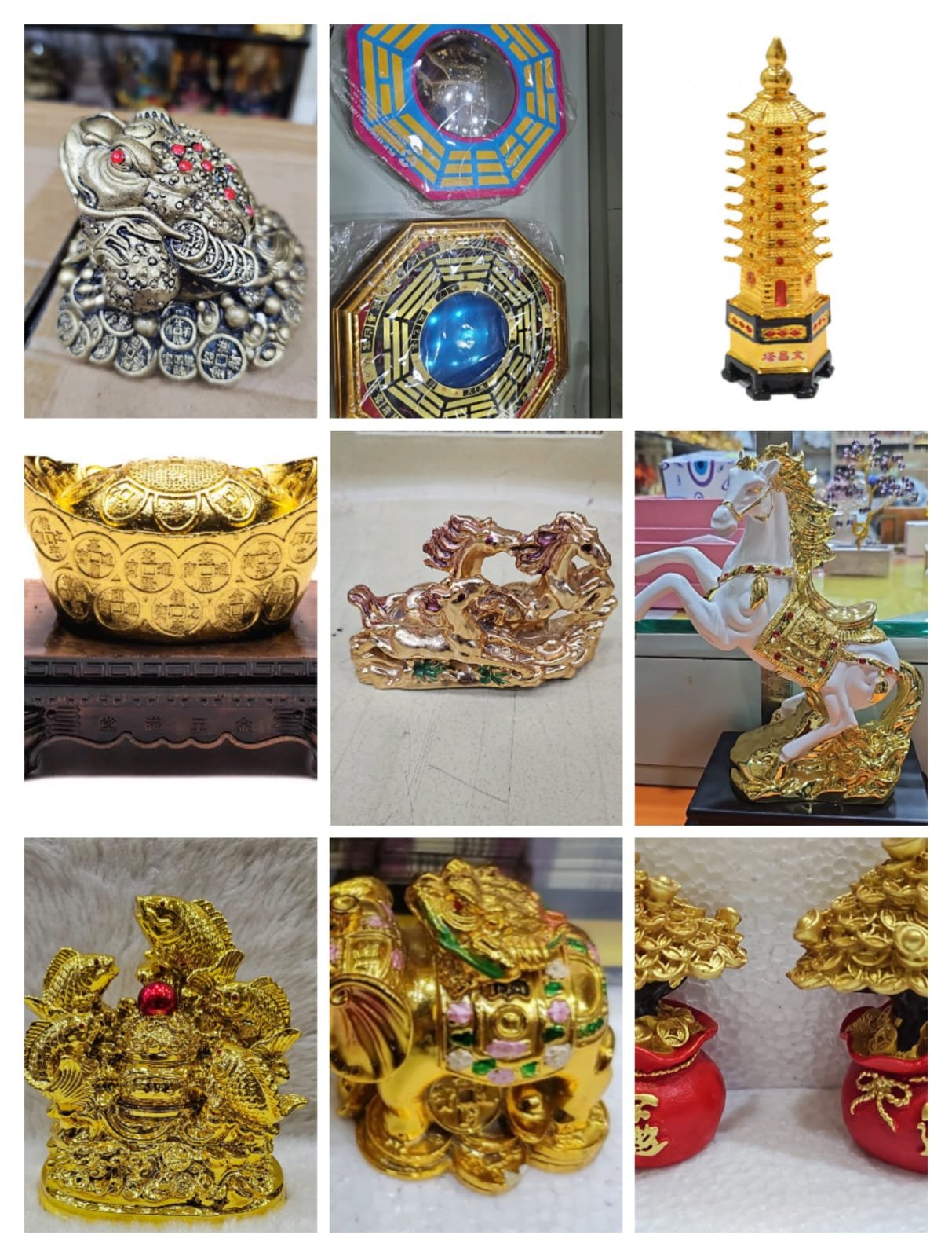 whatsapp image 2026 02 14 at 2.24.53 pm